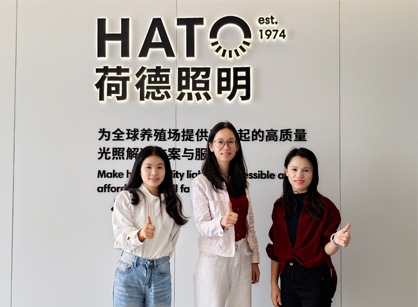 灯光照明行业办公空间焕新就来麻将胡了2装饰